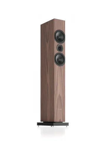 PYLON Audio Zirkon 20