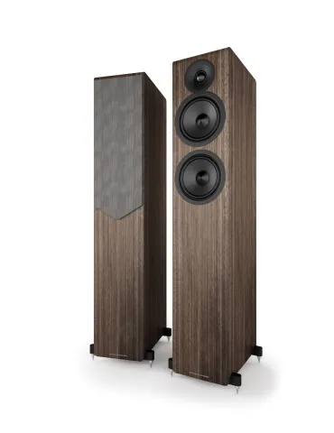 Acoustic Energy AE309.2 grindinės kolonėlės