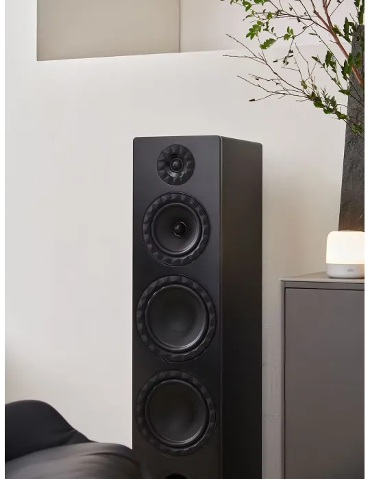 Elipson Prestige Facet II 24F - Floorstanding speakers - 5