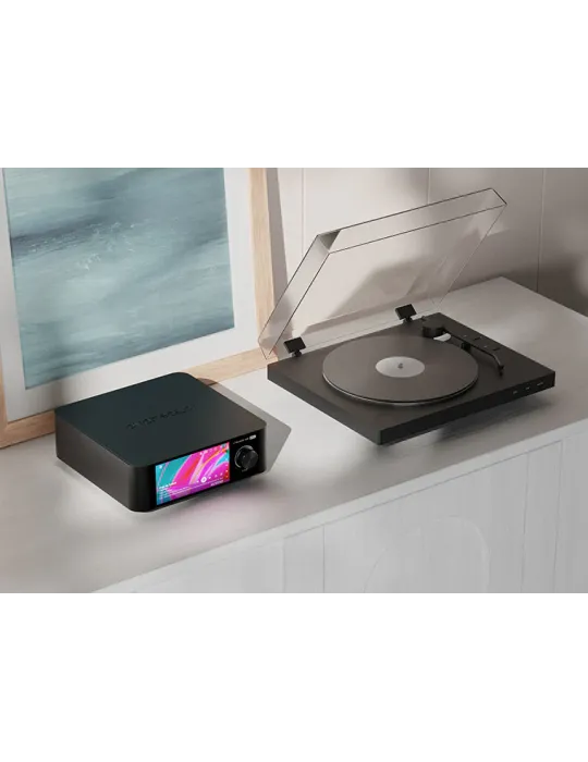 Eversolo Play (CD Edition) streaming stereo amplifier - Stereo amplifiers - 5