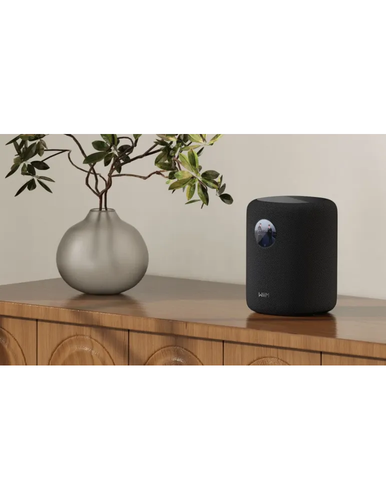 Wiim Sound belaidė WiFi kolonėlė - Belaidės garso kolonėlės - 5
