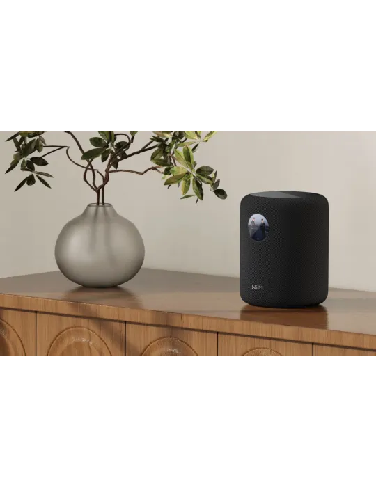 Wiim Sound belaidė WiFi kolonėlė - Belaidės garso kolonėlės - 5