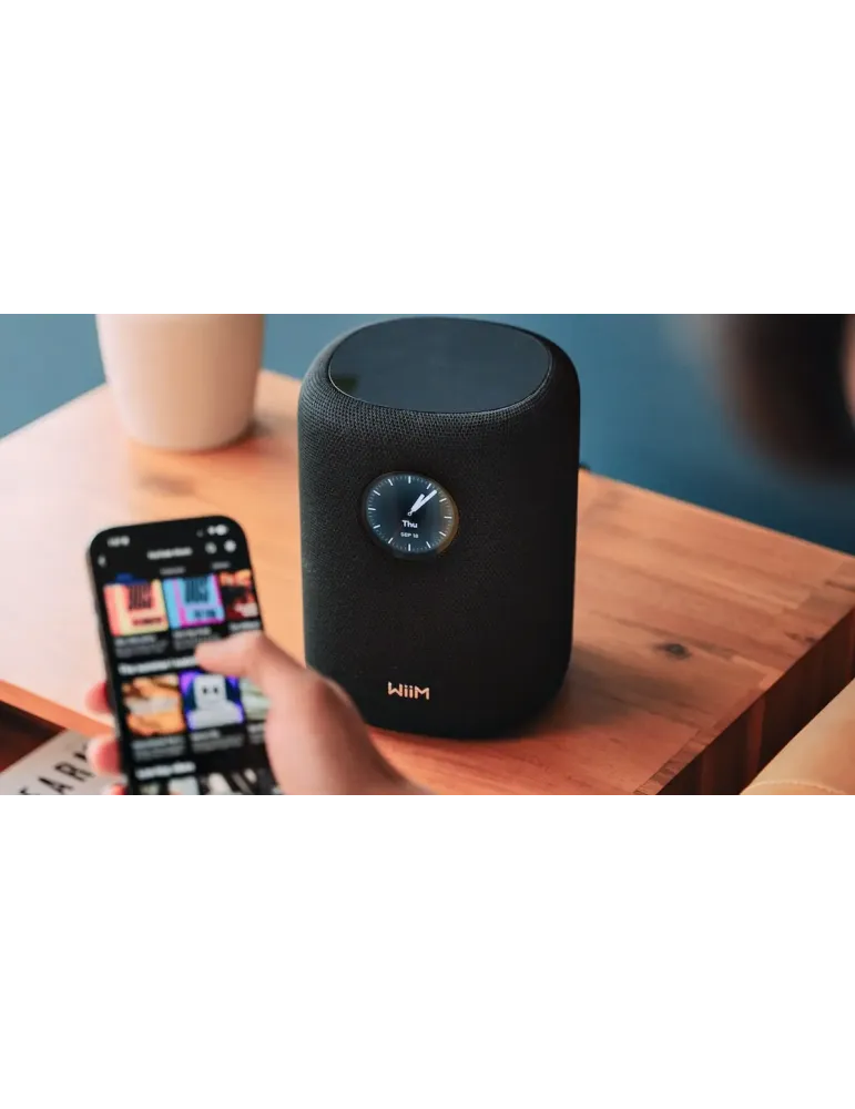 Wiim Sound wireless WiFi speaker - Wireless speakers - 6