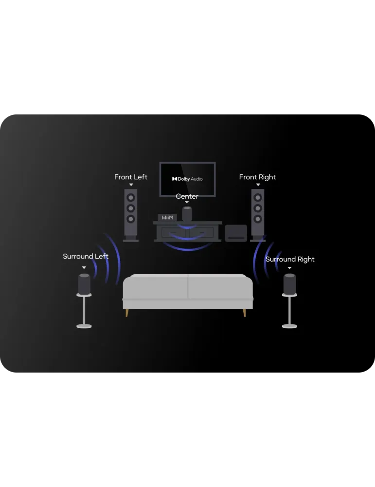Wiim Sound belaidė WiFi kolonėlė - Belaidės garso kolonėlės - 7
