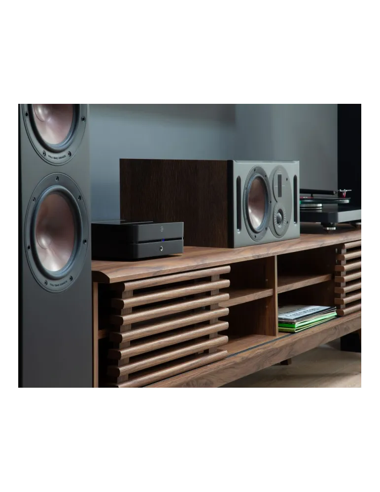 Bluesound Powernode (2025) 3 kanalų stiprintuvas - Garso stiprintuvai - 9