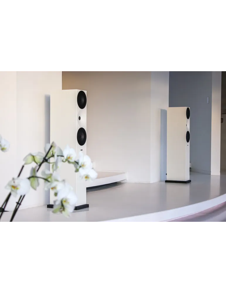 Amphion Argon7LX grindinės kolonėlės - Grindinės kolonėlės - 6