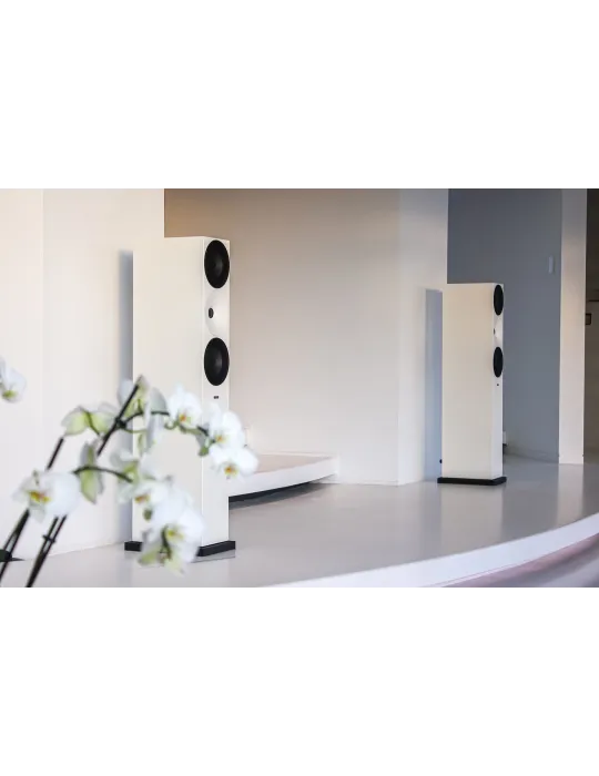 Amphion Argon7LX grindinės kolonėlės - Grindinės kolonėlės - 6