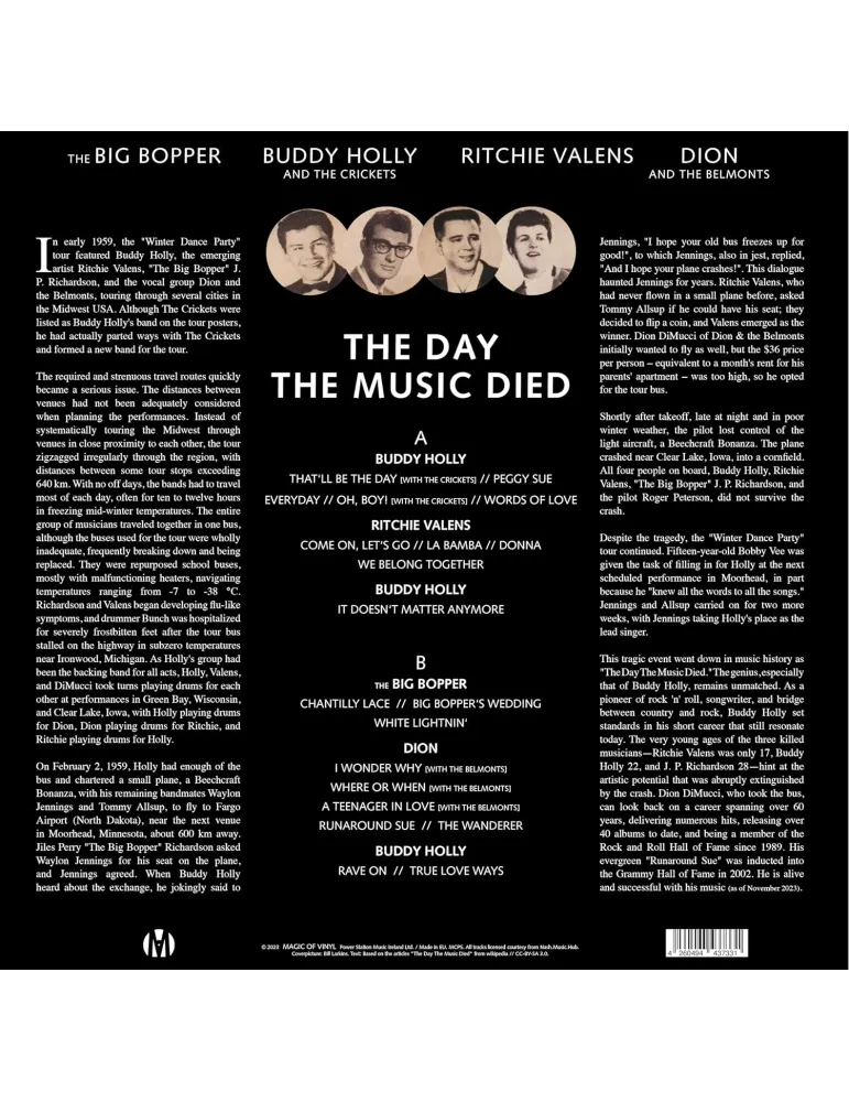 V.A. - The Day the Music died - Vinyl Records - 3