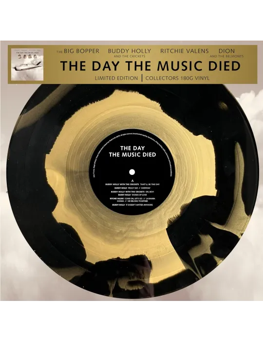 V.A. - The Day the Music died - Vinyl Records - 1
