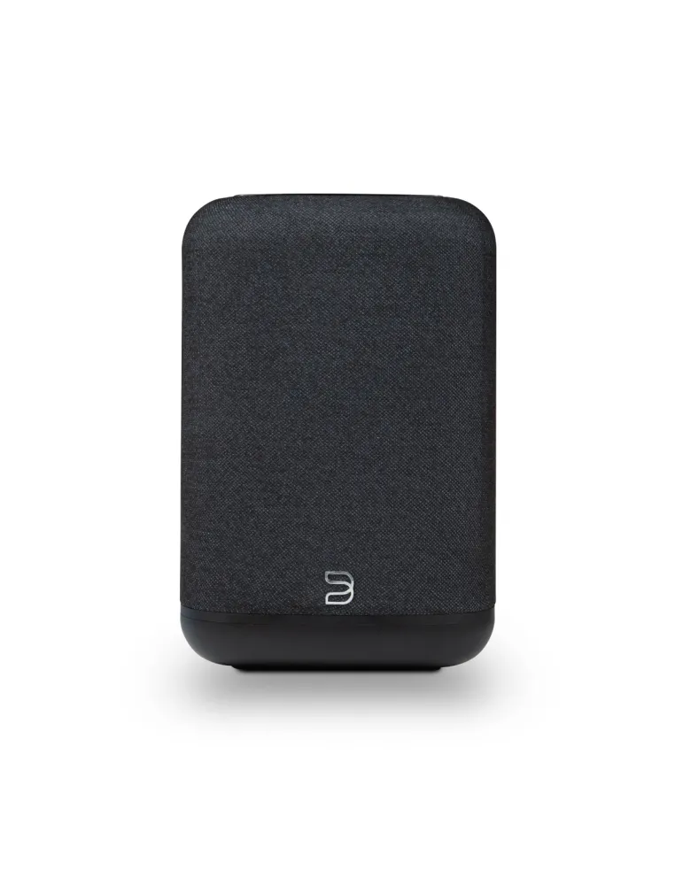 Bluesound Pulse Flex wireless speaker - Bluesound - 10