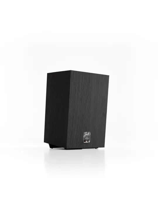 PYLON Audio Jade 20 vintage style speakers (pair) - Floorstanding speakers - 6