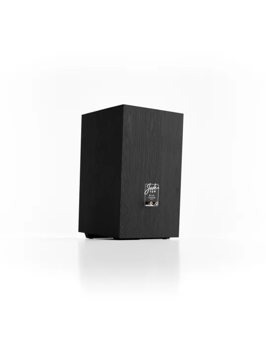 PYLON Audio Jade 10 - Floorstanding speakers - 7