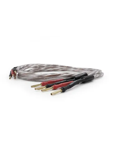 Melodika Brown Sugar 3.3mm2 terminated speaker cable - Speaker cables with plugs - 1 2