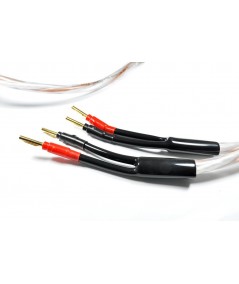 Melodika Brown Sugar Kolonėlių kabelis su antgaliais 3.3mm2 - Kolonėlių kabeliai su antgaliais