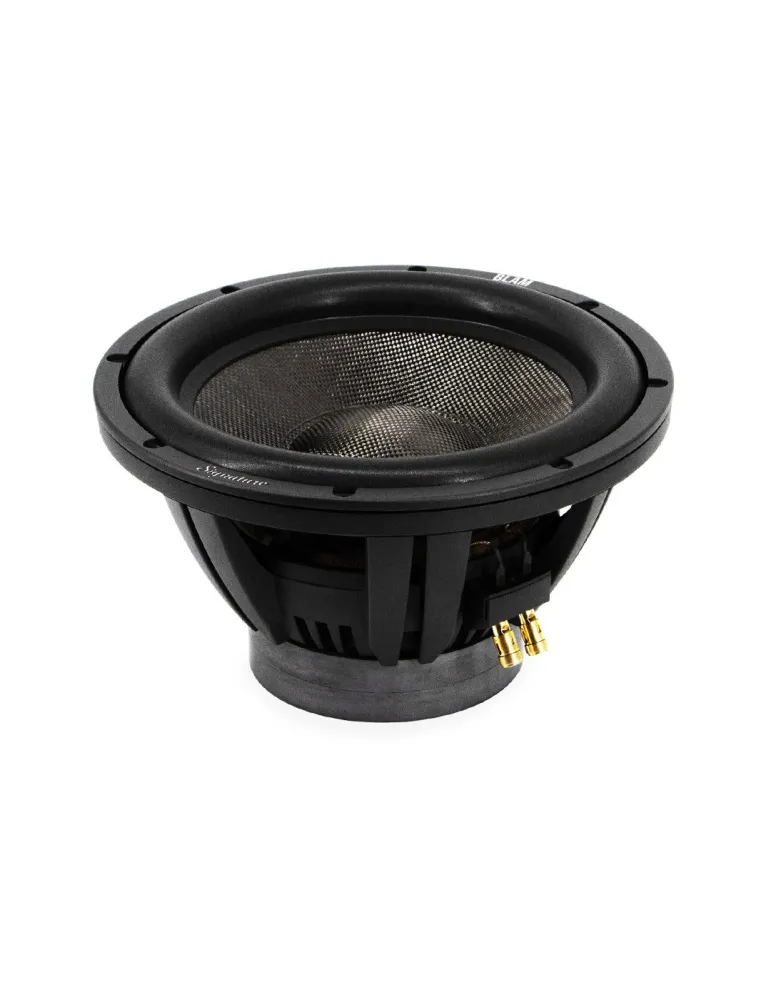 BLAM Supersub 12 subwoofer - Subwoofers - 1
