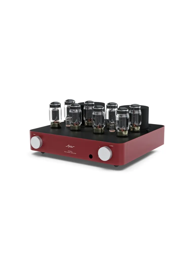 FEZZ Olympia EVO dual mono integruotas lempinis stiprintuvas - Stereo stiprintuvai - 8