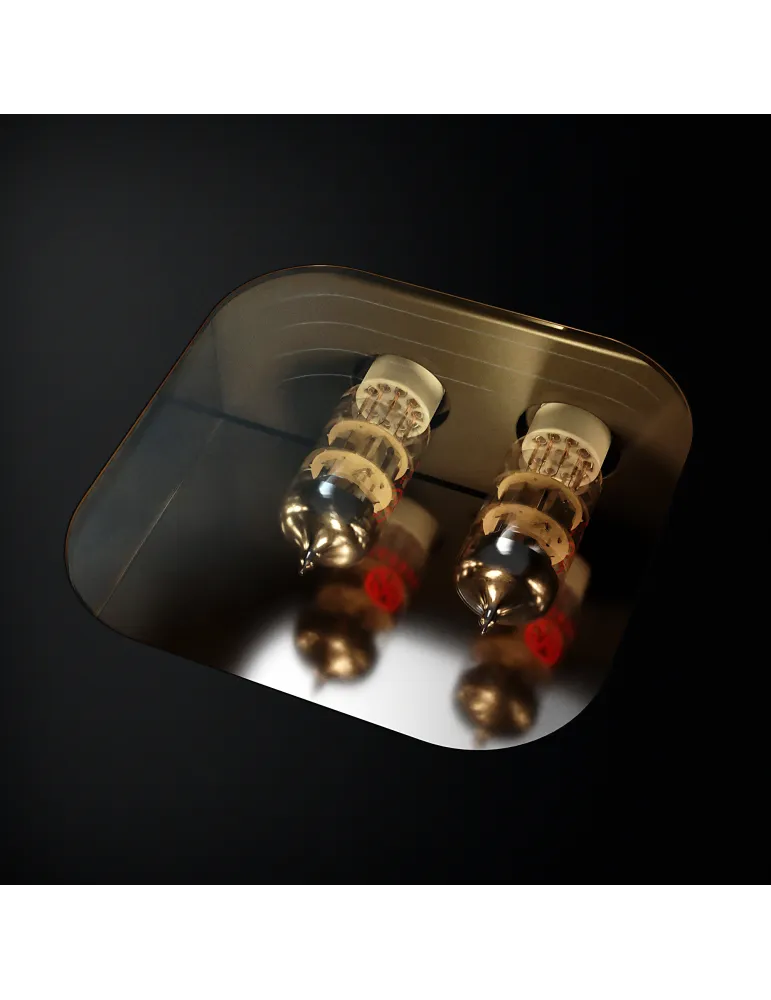 FEZZ Gaia Prestige MM/MC tube phono pre-amplifier - Phono pre-amplifiers - 10