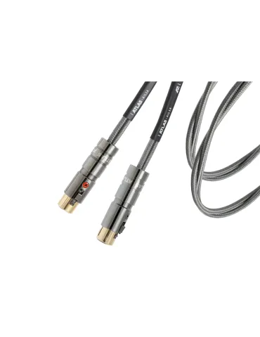 ATLAS Alisa Duo OCC XLR balanced interconnect - Interconnect cables - 1