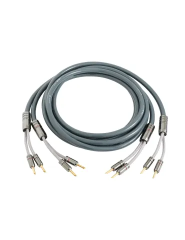 ATLAS Alisa Speaker R1 speaker cable - Speaker cables with plugs - 1 2