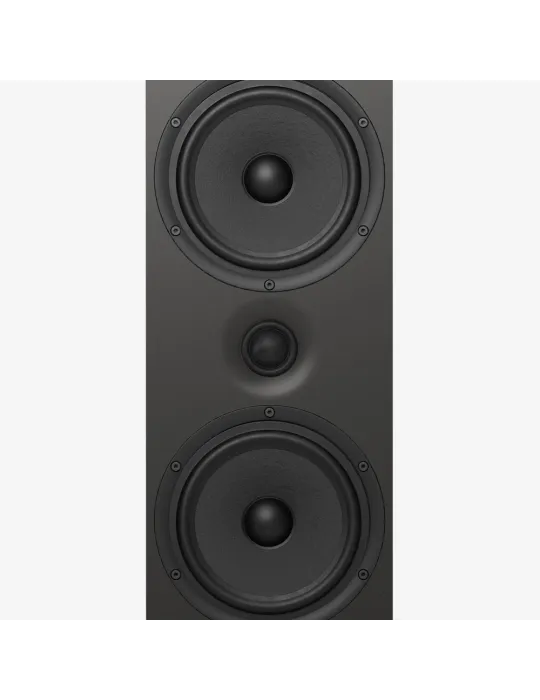 PYLON Audio Opal 23 mkII grindinės garso kolonėlės - Grindinės kolonėlės - 7