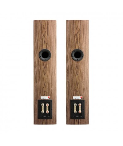 DALI Rubicon 5 grindinės garso kolonėlės - Grindinės kolonėlės
