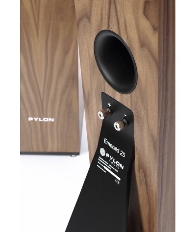 Pylon Audio Emerald 25 grindinės garso kolonėlės - Grindinės kolonėlės