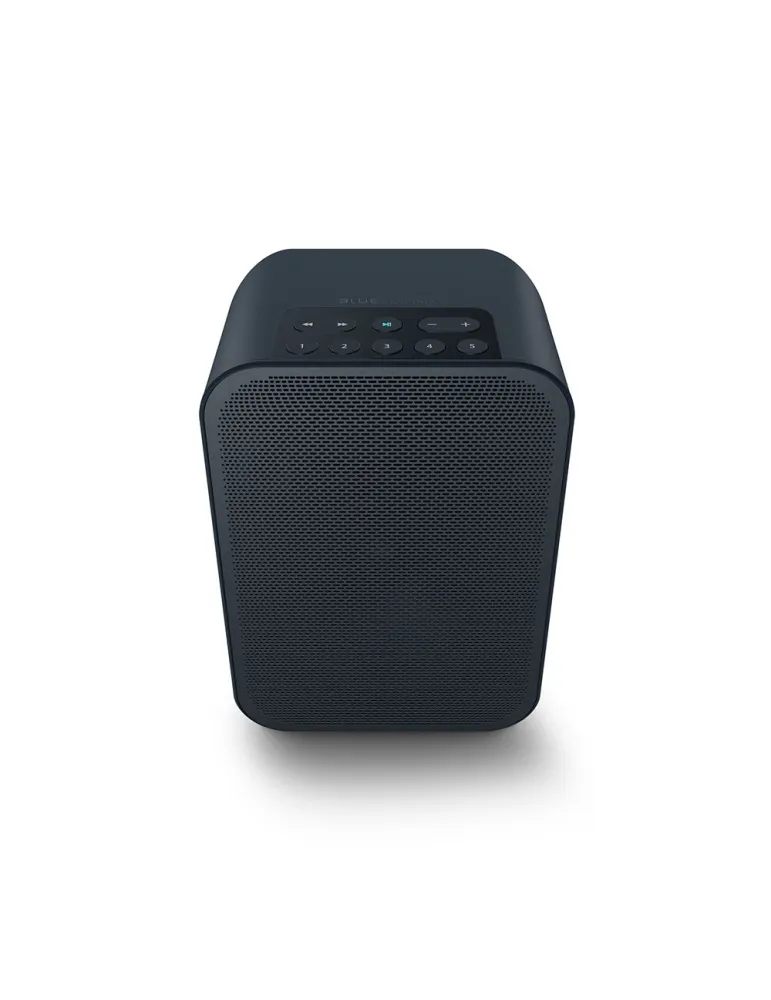 Bluesound Pulse Flex 2i portable active speaker - Bluesound - 1