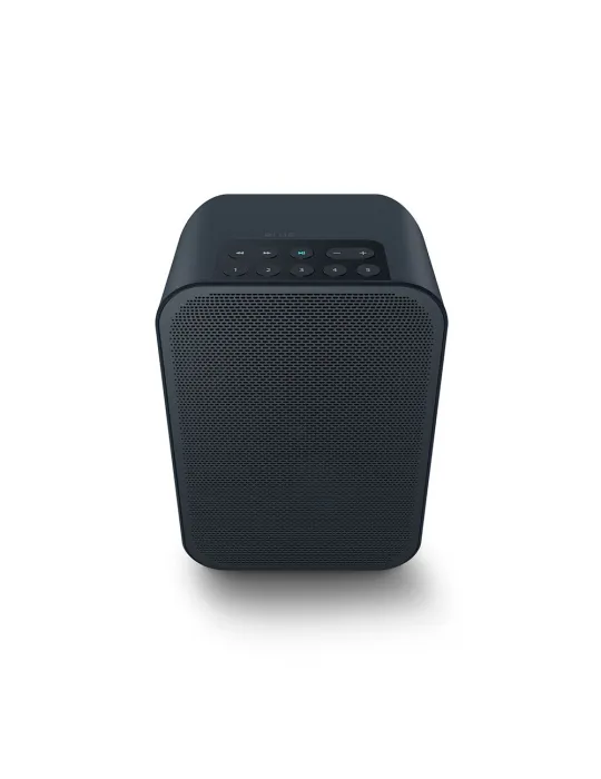 Bluesound Pulse Flex 2i portable active speaker - Bluesound - 1