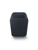 Bluesound Pulse Flex 2i portable active speaker - Bluesound - 1