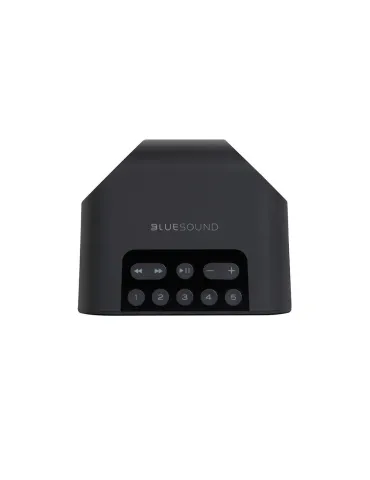 Bluesound Pulse Flex 2i belaidė multi-room kolonėlė - Bluesound - 1 2