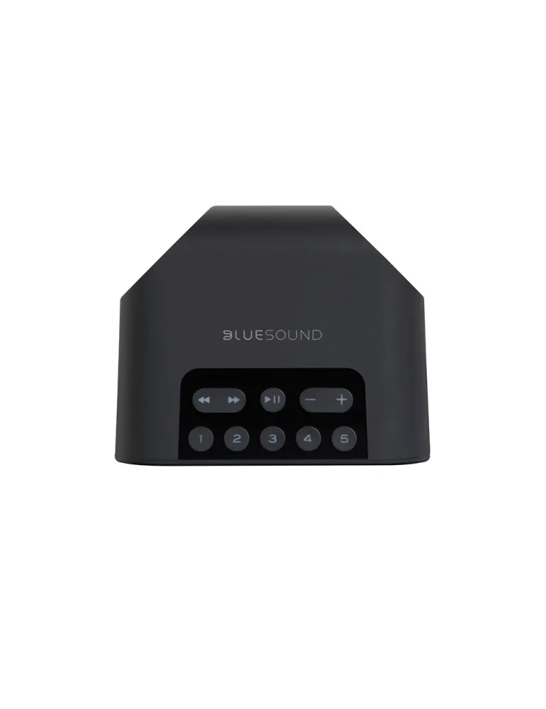 Bluesound Pulse Flex 2i portable active speaker - Bluesound - 2