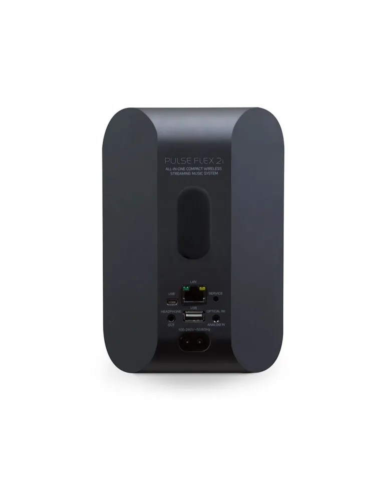 Bluesound Pulse Flex 2i portable active speaker - Bluesound - 3