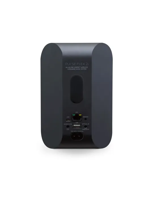 Bluesound Pulse Flex 2i portable active speaker - Bluesound - 3