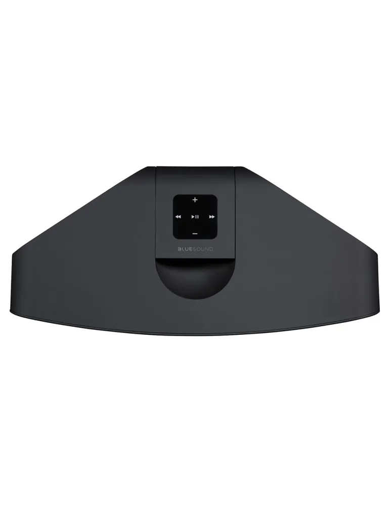 Bluesound Pulse 2i wireless active speaker - Bluesound - 3