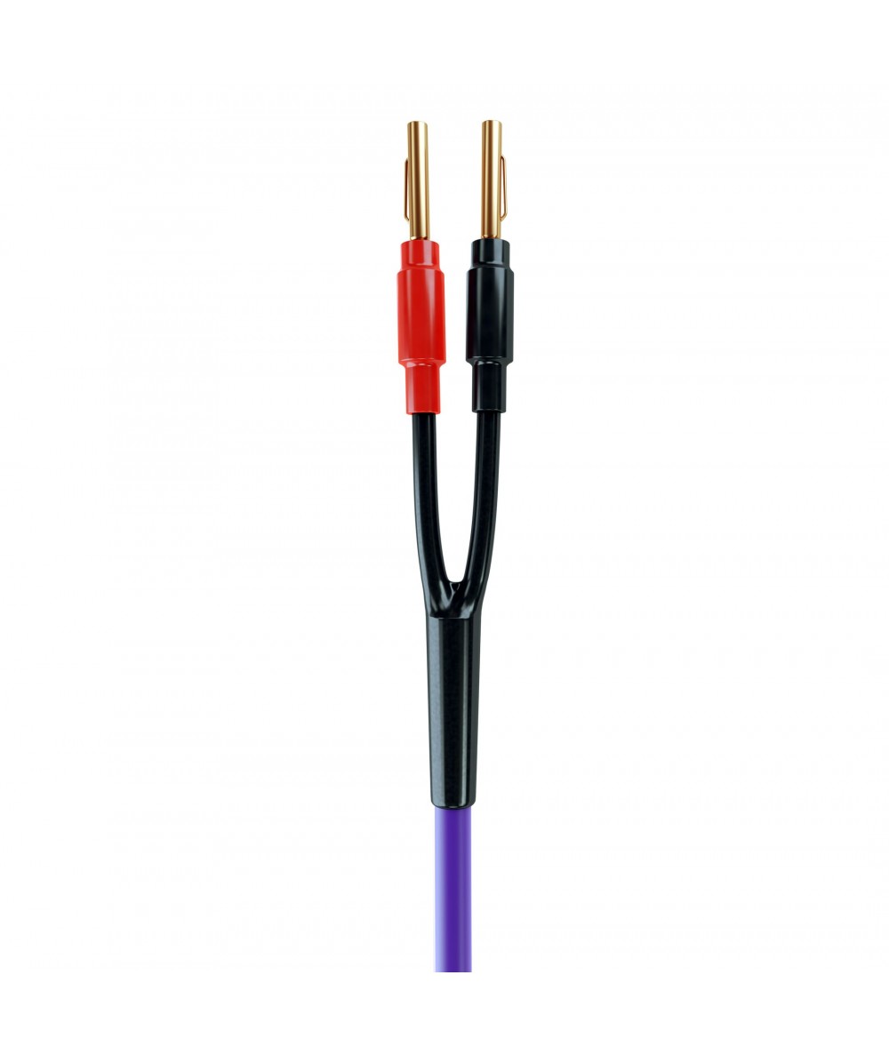Melodika Purple Rain 2x2,5mm2 kolonėlių kabelis su antgaliais - Kolonėlių kabeliai su antgaliais