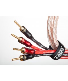 TAGA Harmony Platinum 18-8C kolonėlių kabelis su antgaliais - Kolonėlių kabeliai su antgaliais
