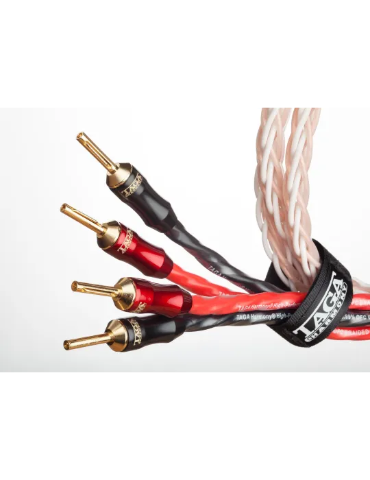 TAGA Harmony Platinum 18-8C kolonėlių kabelis su antgaliais - Kolonėlių kabeliai su antgaliais TAGA Harmony Platinum 18-8C kolonėlių kabelis su antgaliais - Kolonėlių kabeliai su antgaliais