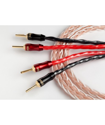 TAGA Harmony Platinum 18-8C kolonėlių kabelis su antgaliais - Kolonėlių kabeliai su antgaliais