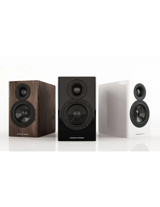 Acoustic Energy AE500 - Lentyninės kolonėlės