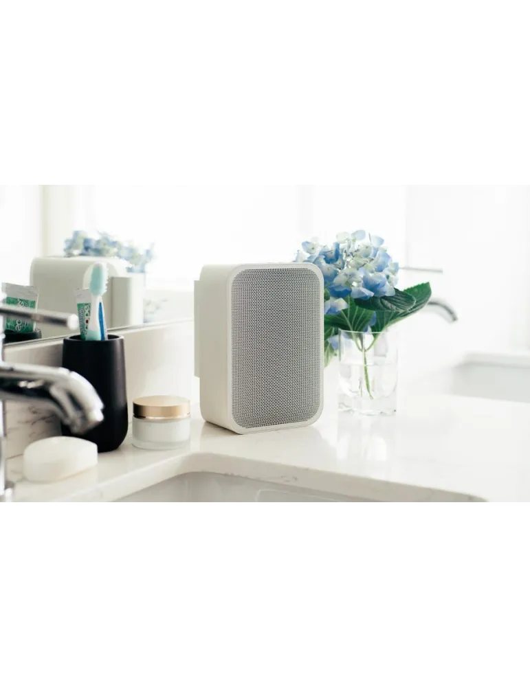 Bluesound Pulse Flex 2i portable active speaker - Bluesound - 5