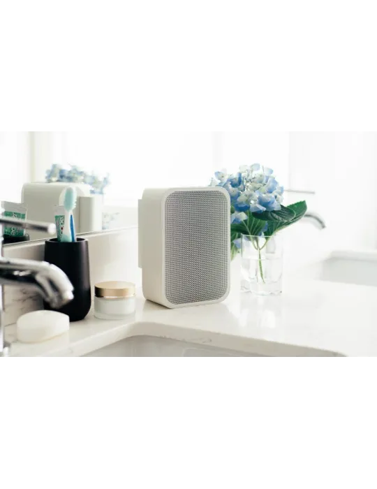 Bluesound Pulse Flex 2i portable active speaker - Bluesound - 5