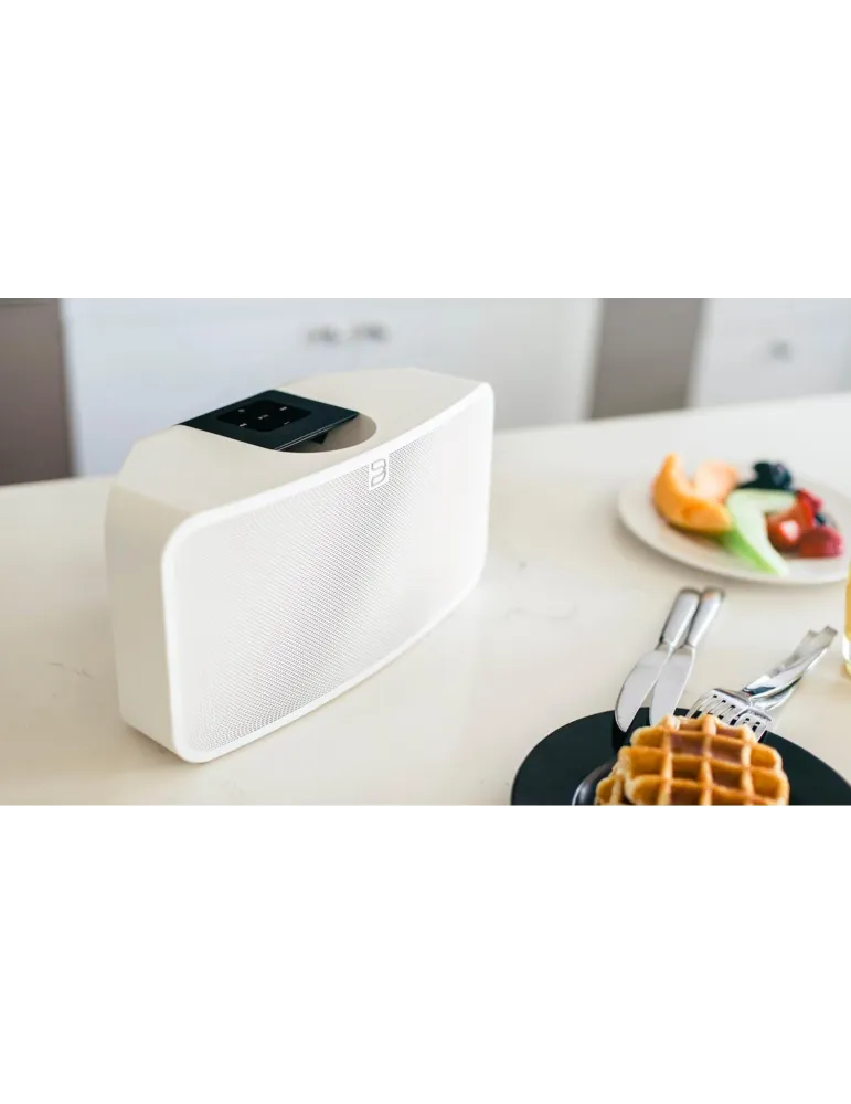 Bluesound Pulse Mini 2i wireless streaming speaker - Bluesound - 5