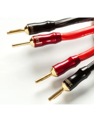 TAGA Harmony TCB-008 bananiniai antgaliai - Antgaliai - 1 2