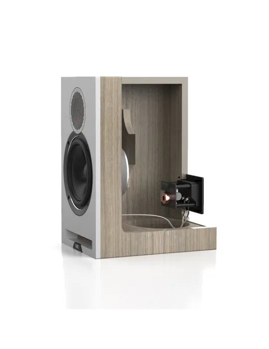 ELAC Debut Reference DBR62 lentyninės kolonėlės - Lentyninės kolonėlės - 4