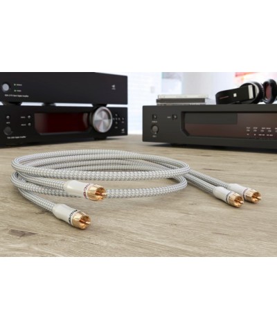 Ricable Primus RCA tarpblokinis kabelis - Tarpblokiniai kabeliai