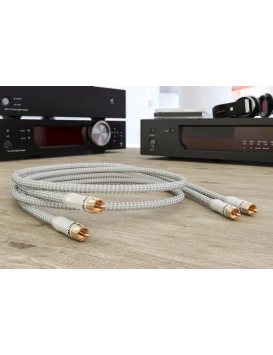 Ricable Primus RCA interconnect cable - Interconnect cables - 4