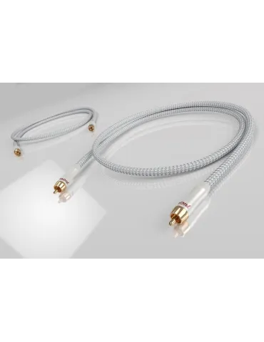 Ricable Primus RCA tarpblokinis kabelis - Tarpblokiniai kabeliai - 1 2