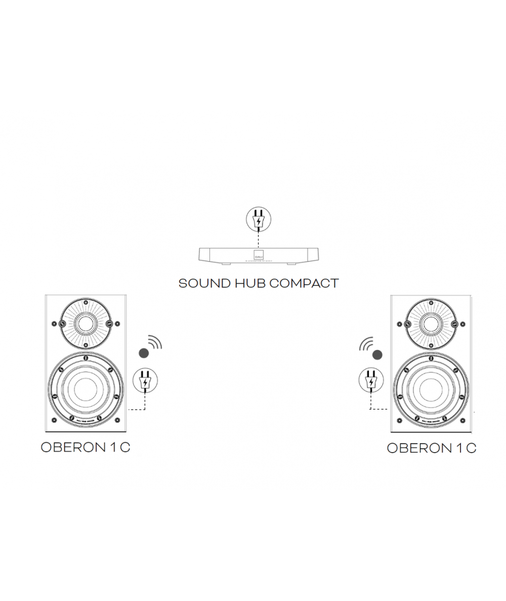 DALI Oberon 1C + Sound Hub aktyvi stereo sistema - Aktyvios kolonėlės