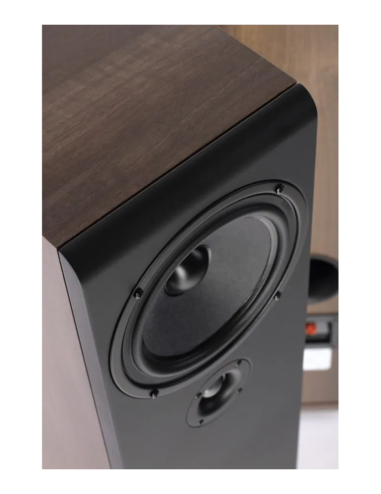 Pylon Audio Opal 20 grindinės garso kolonėlės - Grindinės kolonėlės