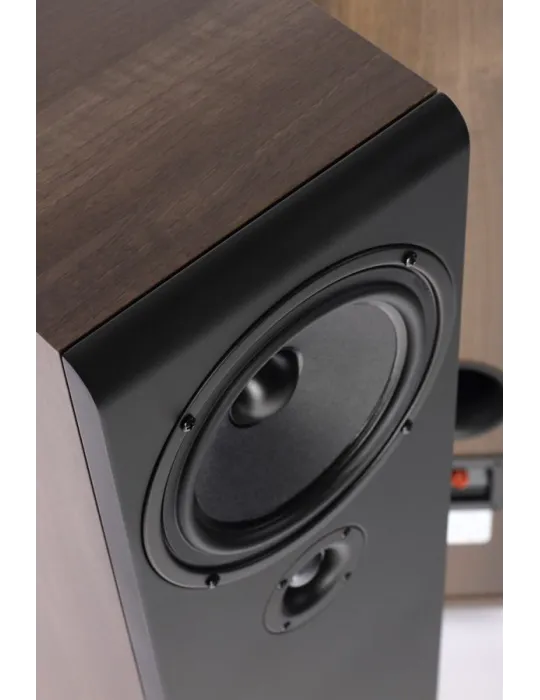 Pylon Audio Opal 20 grindinės garso kolonėlės - Grindinės kolonėlės